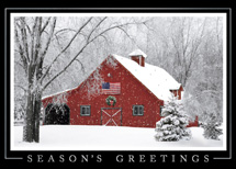 Rustic Elegance Holiday Cards