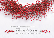 Berry Festive Holiday Cards