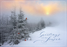 Fantastic Flurries Holiday Cards