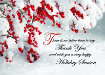 Perfectly Appreciated Holiday Cards