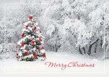 Secret Sighting Holiday Greeting Cards