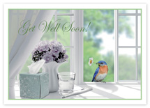 Darling Visitor Get Well Cards